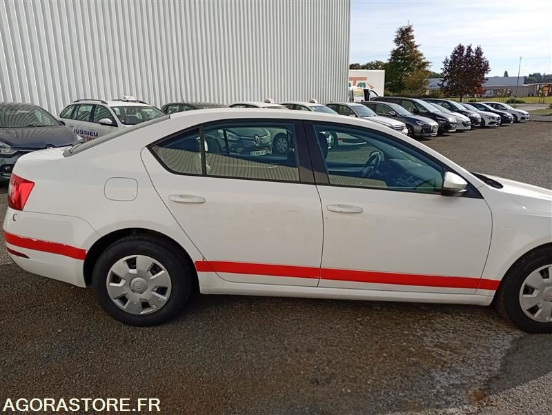 EX-233-PW - Non Roulant - SKODA OCTAVIA - VP - 427 764 Kms - Personenwagen: afbeelding 2 EX-233-PW - Non Roulant - SKODA OCTAVIA - VP - 427 764 Kms - Personenwagen: afbeelding 2