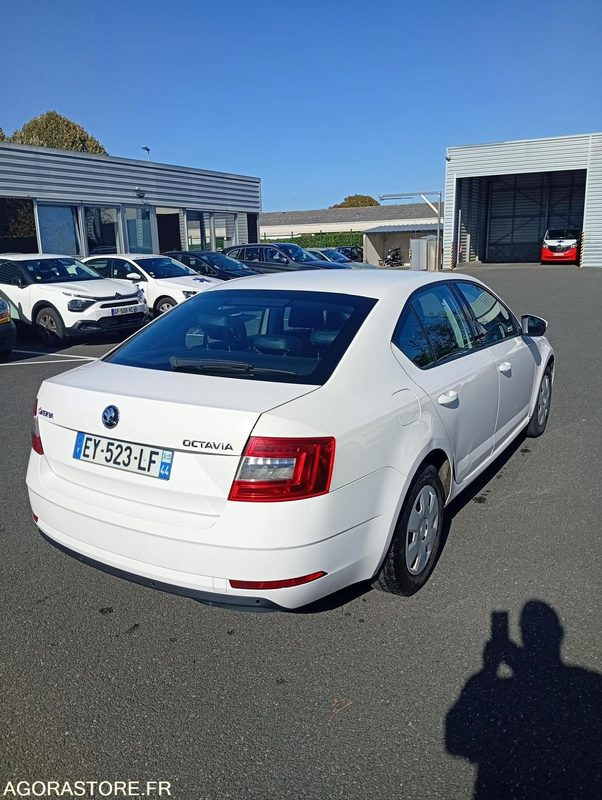EY-523-LF - Roulant - SKODA OCTAVIA - VP - 384 000 Kms - Personenwagen: afbeelding 3 EY-523-LF - Roulant - SKODA OCTAVIA - VP - 384 000 Kms - Personenwagen: afbeelding 3
