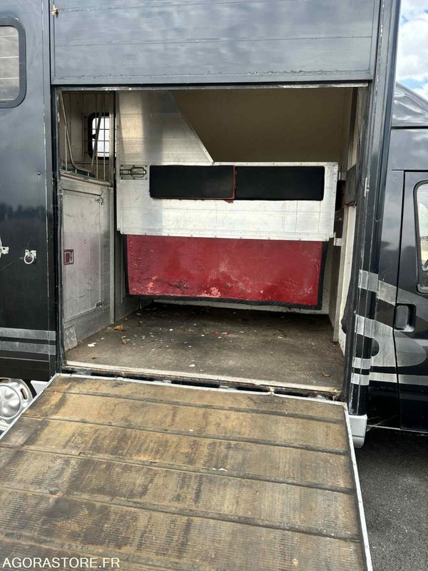 Fourgon FORD - Transport de 2 Chevaux - 2004 - 137 510 KM - Gesloten bestelwagen: afbeelding 3 Fourgon FORD - Transport de 2 Chevaux - 2004 - 137 510 KM - Gesloten bestelwagen: afbeelding 3