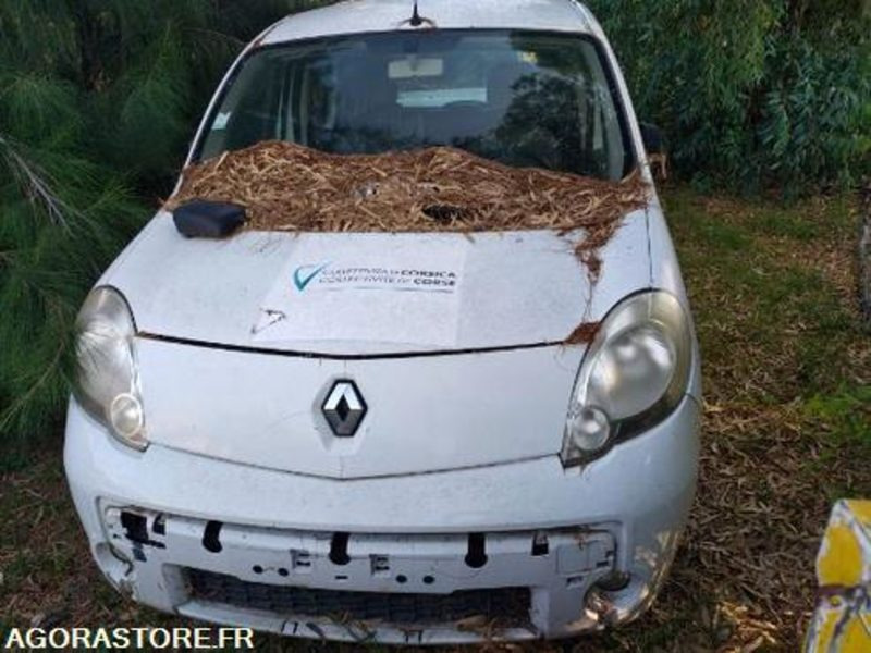Renault Kangoo - 245793km - CJ681EN - Personenwagen: afbeelding 2 Renault Kangoo - 245793km - CJ681EN - Personenwagen: afbeelding 2