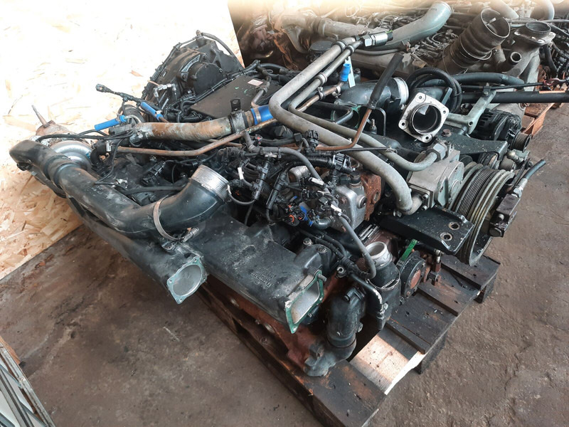 MAN E2876LUH03 - Motor: afbeelding 1 MAN E2876LUH03 - Motor: afbeelding 1