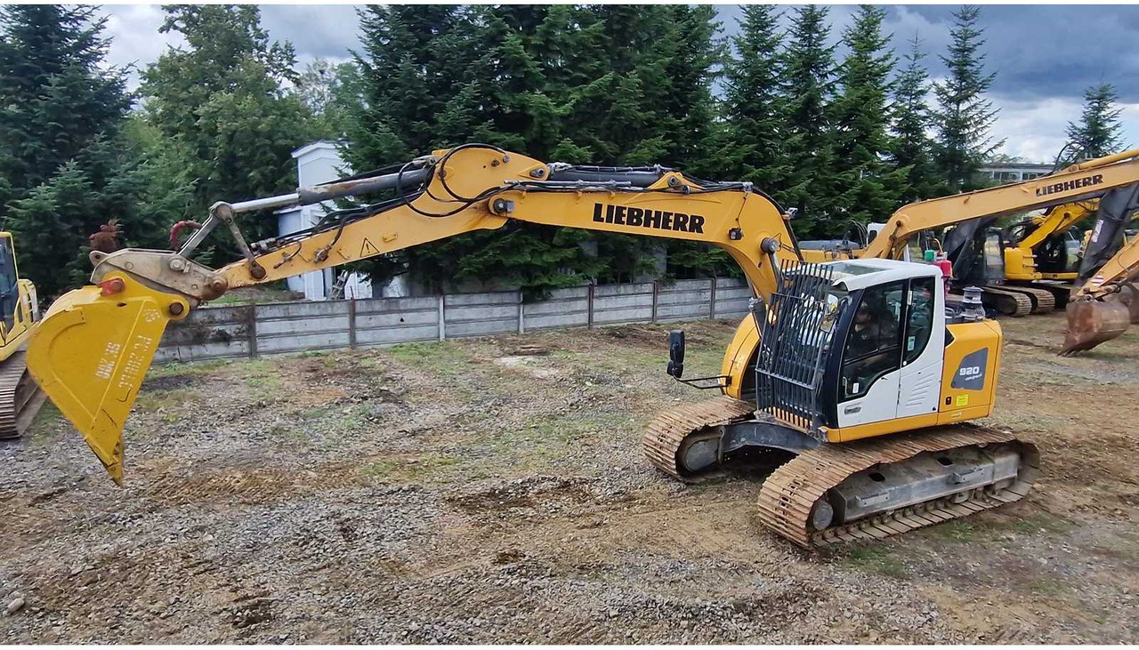 Graafmachine 2019 LIEBHERR R920 TRACKED EXCAVATOR: afbeelding 6