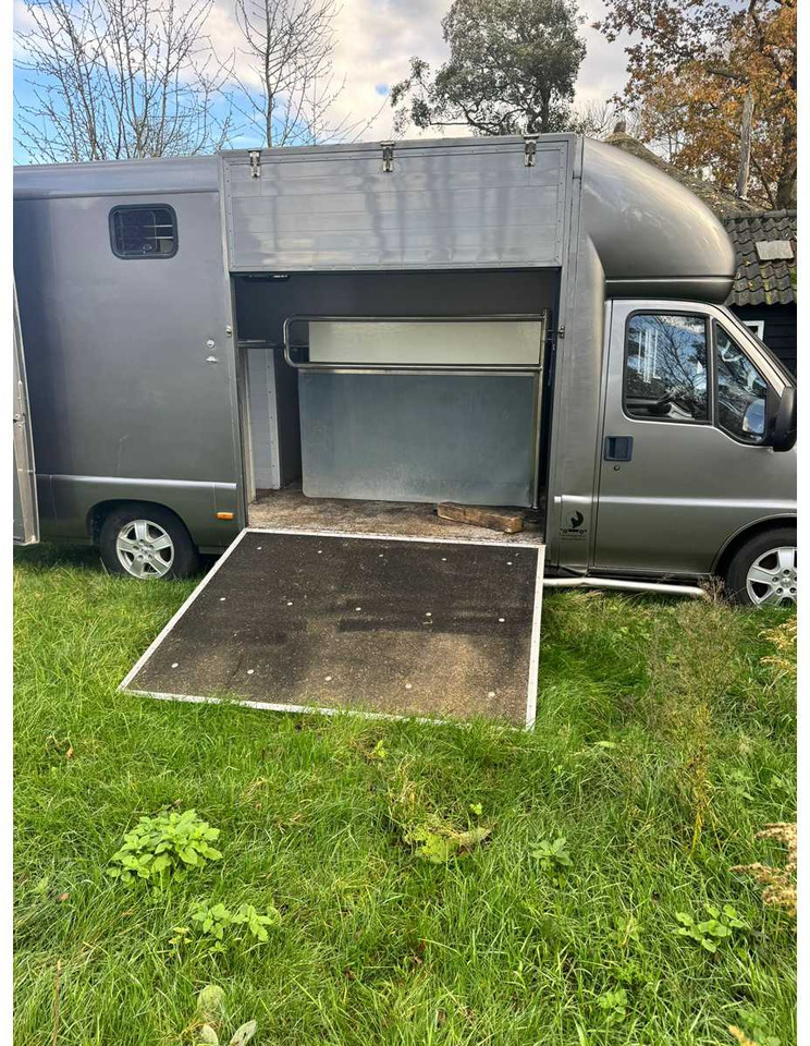 1999 FIAT DUCATO MAXI 18 2.8 ID 598-140 HORSE TRUCK - Bedrijfswagen: afbeelding 2 1999 FIAT DUCATO MAXI 18 2.8 ID 598-140 HORSE TRUCK - Bedrijfswagen: afbeelding 2