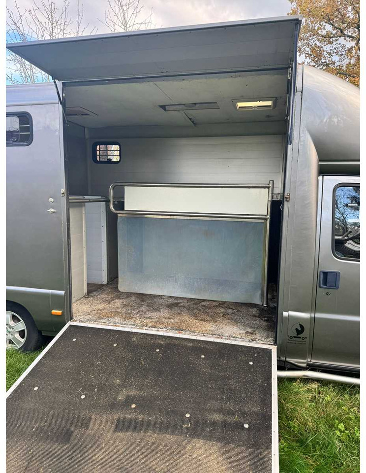 1999 FIAT DUCATO MAXI 18 2.8 ID 598-140 HORSE TRUCK - Bedrijfswagen: afbeelding 3 1999 FIAT DUCATO MAXI 18 2.8 ID 598-140 HORSE TRUCK - Bedrijfswagen: afbeelding 3