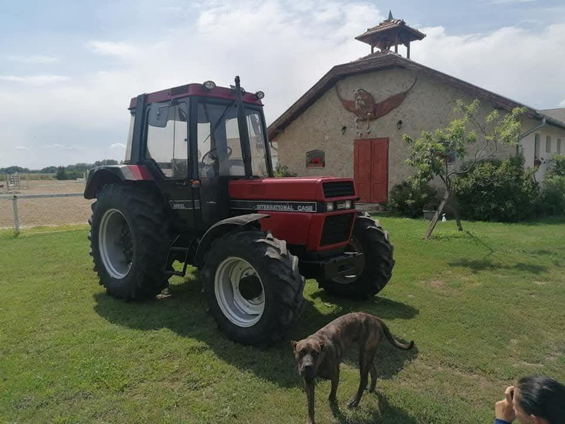 Case IH 856 XL - Tractor: afbeelding 4 Case IH 856 XL - Tractor: afbeelding 4