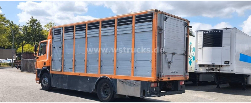 DAF CF 400 - Animal transporter - Veewagen vrachtwagen: afbeelding 5 DAF CF 400 - Animal transporter - Veewagen vrachtwagen: afbeelding 5