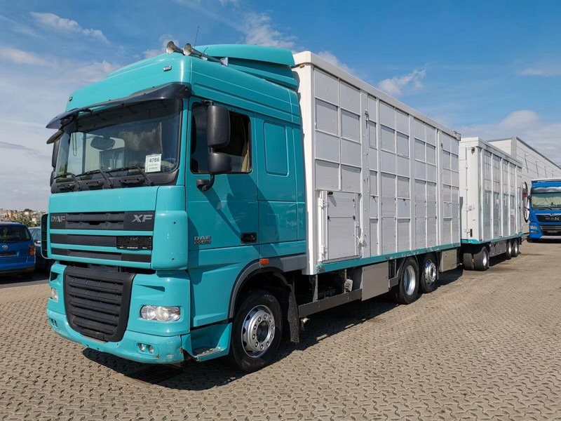 DAF XF 105.460 - Animal transporter + trailer - Veewagen vrachtwagen: afbeelding 1 DAF XF 105.460 - Animal transporter + trailer - Veewagen vrachtwagen: afbeelding 1