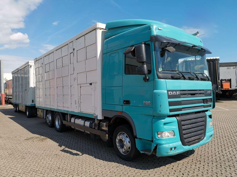 DAF XF 105.460 - Animal transporter + trailer - Veewagen vrachtwagen: afbeelding 2 DAF XF 105.460 - Animal transporter + trailer - Veewagen vrachtwagen: afbeelding 2