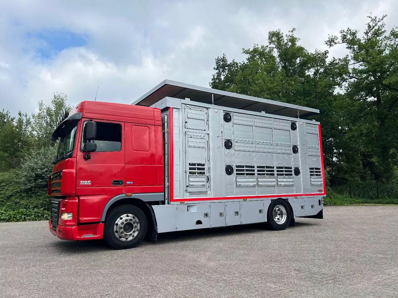 DAF XF 106.460 - Finkl Animal transporter - Veewagen vrachtwagen: afbeelding 1 DAF XF 106.460 - Finkl Animal transporter - Veewagen vrachtwagen: afbeelding 1