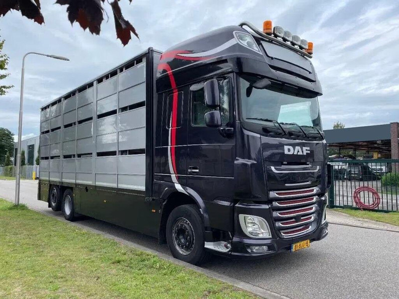 DAF XF 460 - Animal transporter - Veewagen vrachtwagen: afbeelding 2 DAF XF 460 - Animal transporter - Veewagen vrachtwagen: afbeelding 2