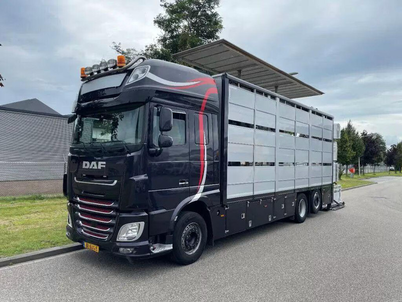 DAF XF 460 - Animal transporter - Veewagen vrachtwagen: afbeelding 3 DAF XF 460 - Animal transporter - Veewagen vrachtwagen: afbeelding 3