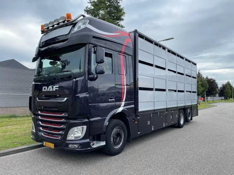 DAF XF 460 - Animal transporter - Veewagen vrachtwagen: afbeelding 1 DAF XF 460 - Animal transporter - Veewagen vrachtwagen: afbeelding 1