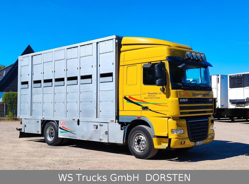DAF XF410 Menke Doppelstock - Veewagen vrachtwagen: afbeelding 4 DAF XF410 Menke Doppelstock - Veewagen vrachtwagen: afbeelding 4