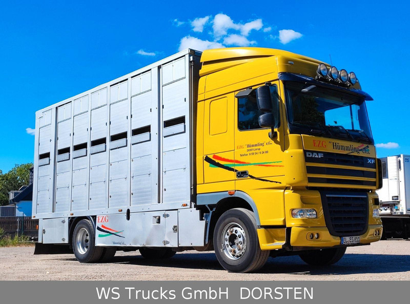 DAF XF410 Menke Doppelstock - Veewagen vrachtwagen: afbeelding 3 DAF XF410 Menke Doppelstock - Veewagen vrachtwagen: afbeelding 3