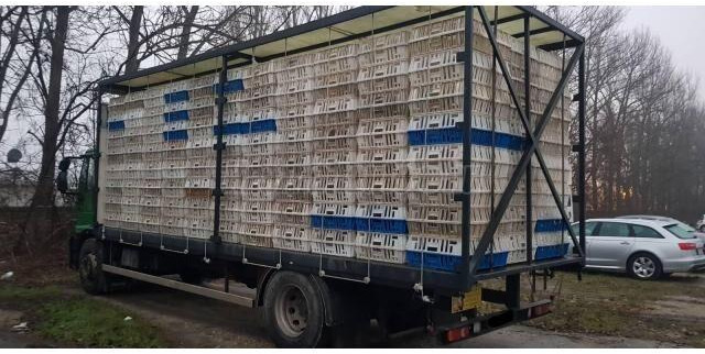 Iveco Eurocargo 180E28 - Veewagen vrachtwagen: afbeelding 3 Iveco Eurocargo 180E28 - Veewagen vrachtwagen: afbeelding 3