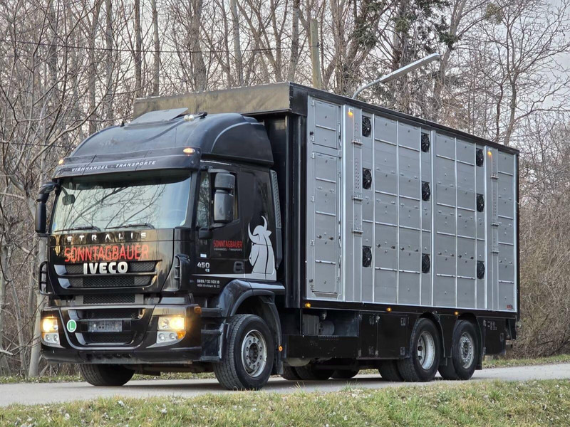 Iveco Stralis 260S45 - Animal transporter - Veewagen vrachtwagen: afbeelding 1 Iveco Stralis 260S45 - Animal transporter - Veewagen vrachtwagen: afbeelding 1