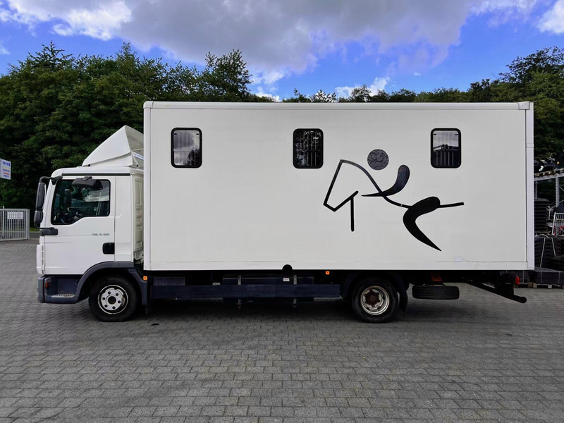 MAN TGL 8.180 - Horse transporter - Paardenvrachtwagen: afbeelding 3 MAN TGL 8.180 - Horse transporter - Paardenvrachtwagen: afbeelding 3