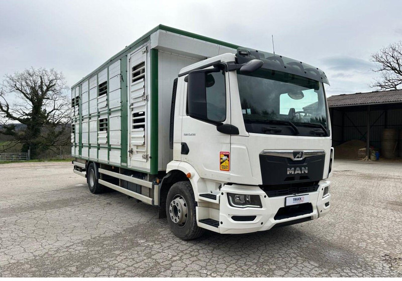 MAN TGM 15.290 Livestock Double Deck - Veewagen vrachtwagen: afbeelding 3 MAN TGM 15.290 Livestock Double Deck - Veewagen vrachtwagen: afbeelding 3