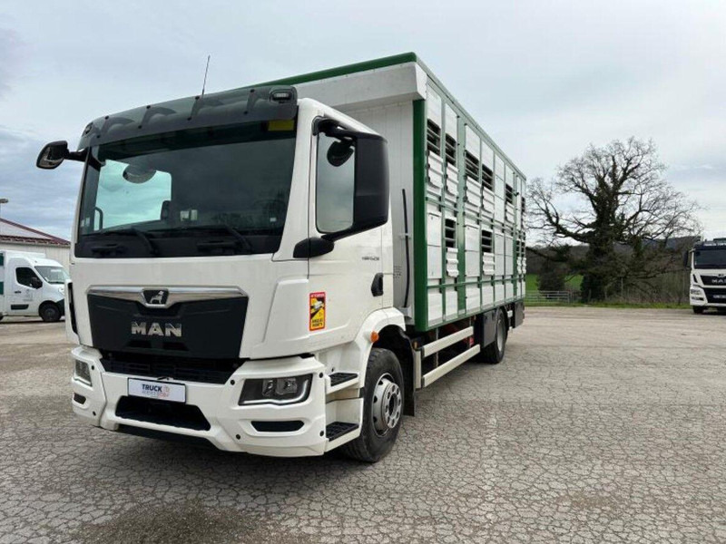 MAN TGM 15.290 Livestock Double Deck - Veewagen vrachtwagen: afbeelding 4 MAN TGM 15.290 Livestock Double Deck - Veewagen vrachtwagen: afbeelding 4