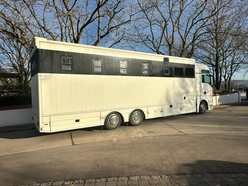MAN TGX 26.440 - Horse transporter - Paardenvrachtwagen: afbeelding 3 MAN TGX 26.440 - Horse transporter - Paardenvrachtwagen: afbeelding 3