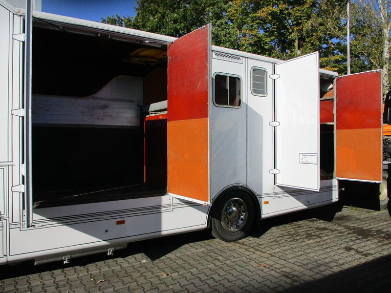 Mercedes-Benz Axor 1833 - Horse transporter - Paardenvrachtwagen: afbeelding 5 Mercedes-Benz Axor 1833 - Horse transporter - Paardenvrachtwagen: afbeelding 5