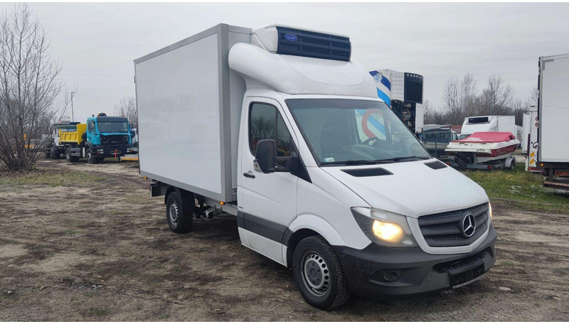 Mercedes-Benz Sprinter 316 cdi - Carrier Xarios 500 frigo - 3,5t - 220V - Koelwagen: afbeelding 1 Mercedes-Benz Sprinter 316 cdi - Carrier Xarios 500 frigo - 3,5t - 220V - Koelwagen: afbeelding 1