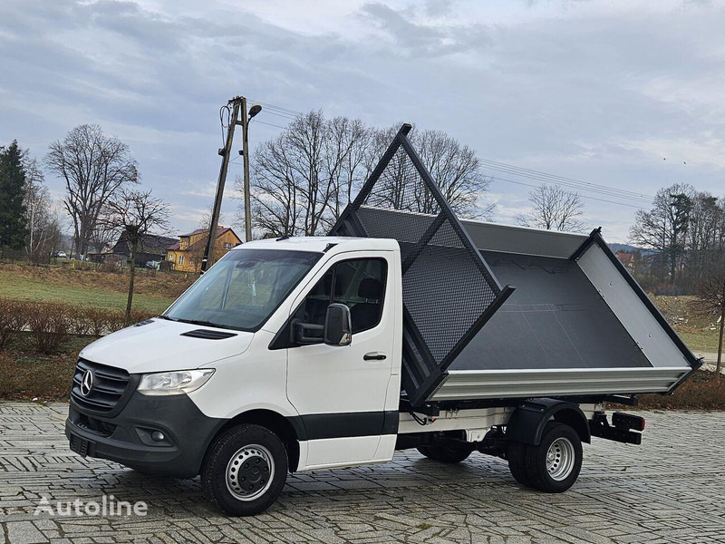 Mercedes-Benz Sprinter 419/519 CDI 3 way tipper - Kipper bestelwagen: afbeelding 2 Mercedes-Benz Sprinter 419/519 CDI 3 way tipper - Kipper bestelwagen: afbeelding 2