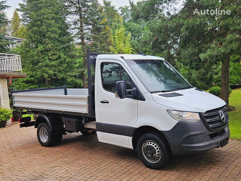 Mercedes-Benz Sprinter 51 9 CDI 3 way tipper - Kipper bestelwagen: afbeelding 3 Mercedes-Benz Sprinter 51 9 CDI 3 way tipper - Kipper bestelwagen: afbeelding 3