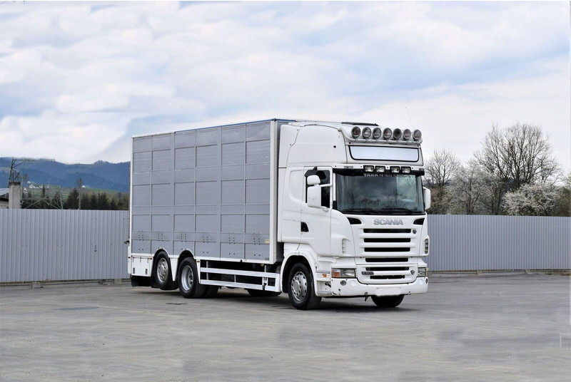 Scania R 500 - Veewagen vrachtwagen: afbeelding 2 Scania R 500 - Veewagen vrachtwagen: afbeelding 2