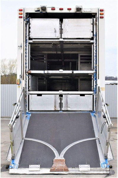 Scania R 500 - Veewagen vrachtwagen: afbeelding 4 Scania R 500 - Veewagen vrachtwagen: afbeelding 4