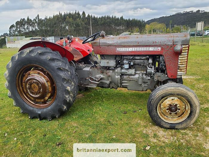 Tractor Massey Ferguson 65 | 4 cylinder diesel | disc brakes: afbeelding 1