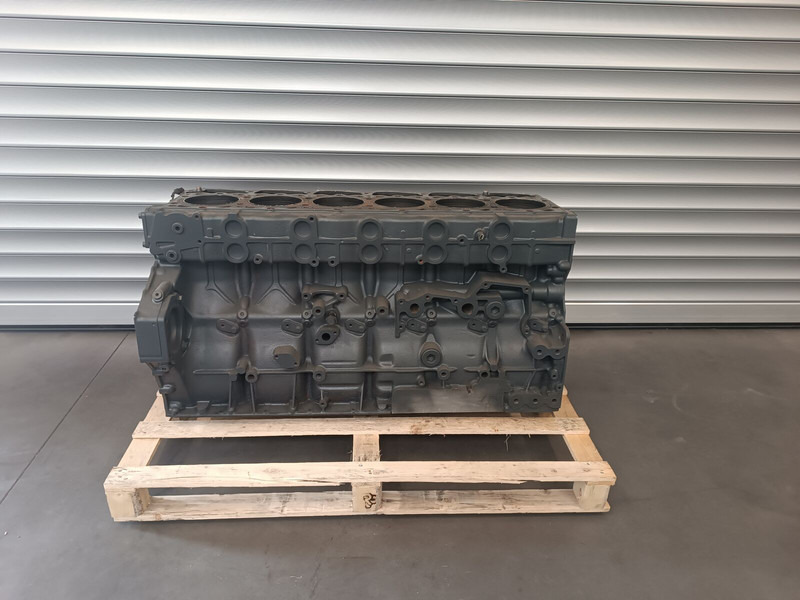 DAF XF106 Euro 6 - Cilinderblok voor Vrachtwagen: afbeelding 1 DAF XF106 Euro 6 - Cilinderblok voor Vrachtwagen: afbeelding 1