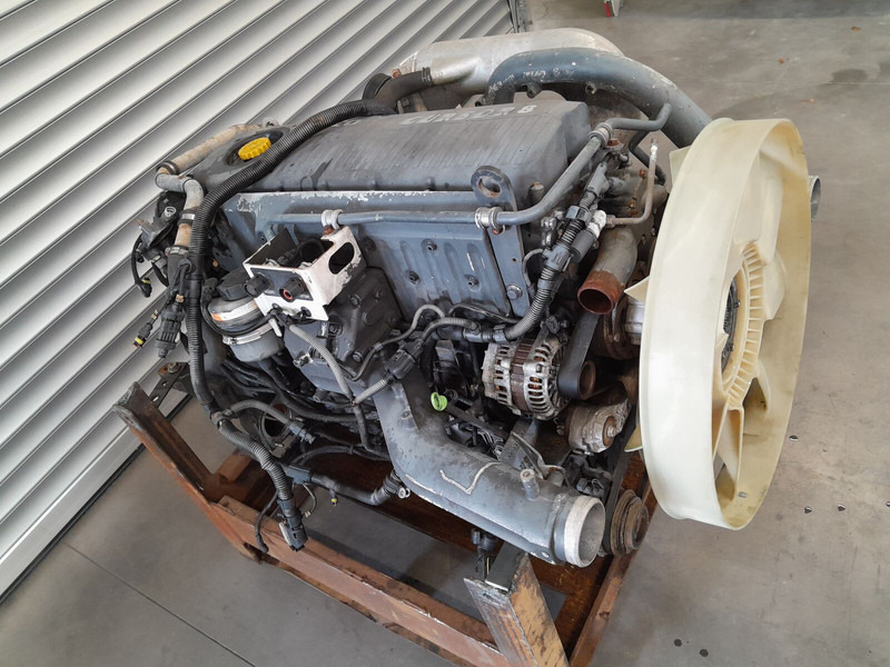 Iveco F2BE0681 EURO 3 STRALIS CURSOR 8 - Motor voor Vrachtwagen: afbeelding 1 Iveco F2BE0681 EURO 3 STRALIS CURSOR 8 - Motor voor Vrachtwagen: afbeelding 1