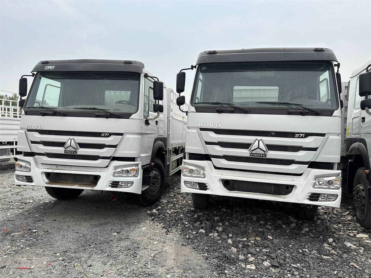 SINOTRUK HOWO 371 Cargo truck - Veewagen vrachtwagen: afbeelding 1 SINOTRUK HOWO 371 Cargo truck - Veewagen vrachtwagen: afbeelding 1