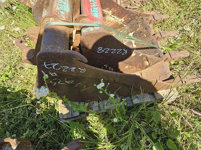 ARDEN QA11 - Bak: afbeelding 2 ARDEN QA11 - Bak: afbeelding 2