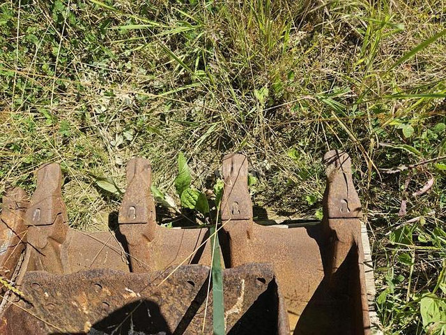 ARDEN QA11 - Bak: afbeelding 3 ARDEN QA11 - Bak: afbeelding 3