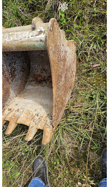 ARDEN QA13 - Bak: afbeelding 2 ARDEN QA13 - Bak: afbeelding 2