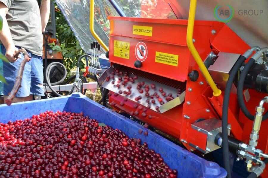 Jagoda machine for harvesting cherries, plums Gacek - Tuinmachine: afbeelding 4 Jagoda machine for harvesting cherries, plums Gacek - Tuinmachine: afbeelding 4