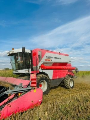 Massey Ferguson 7274 CEREA - Maaidorser: afbeelding 1 Massey Ferguson 7274 CEREA - Maaidorser: afbeelding 1