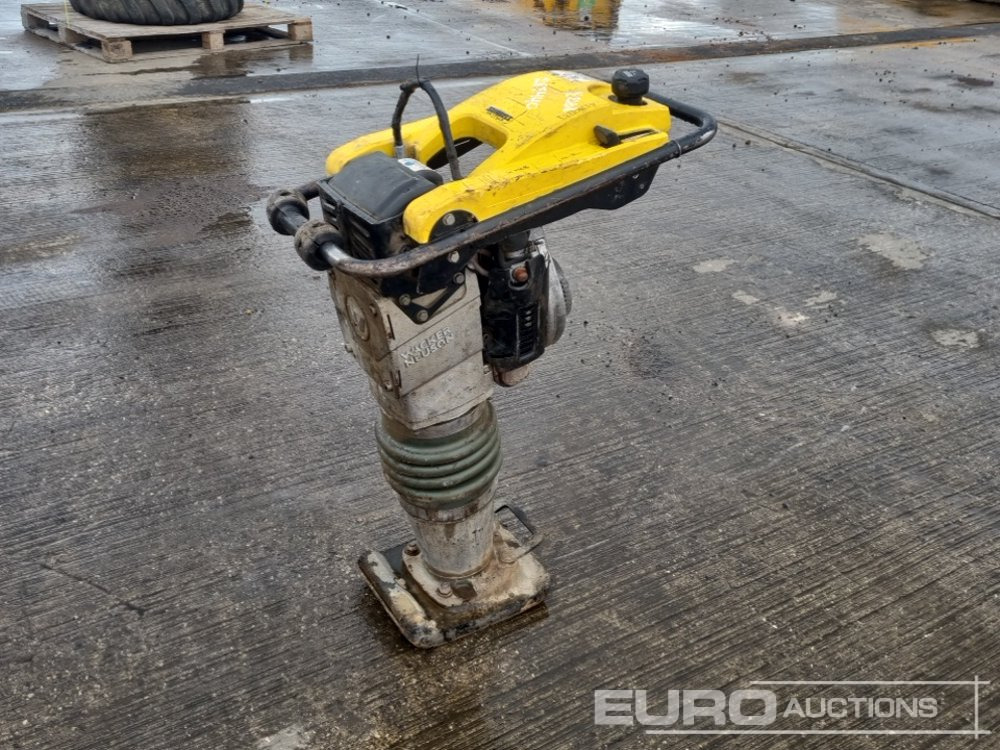 2020 Wacker Neuson BS60-2 - Asfaltmachine: afbeelding 1 2020 Wacker Neuson BS60-2 - Asfaltmachine: afbeelding 1