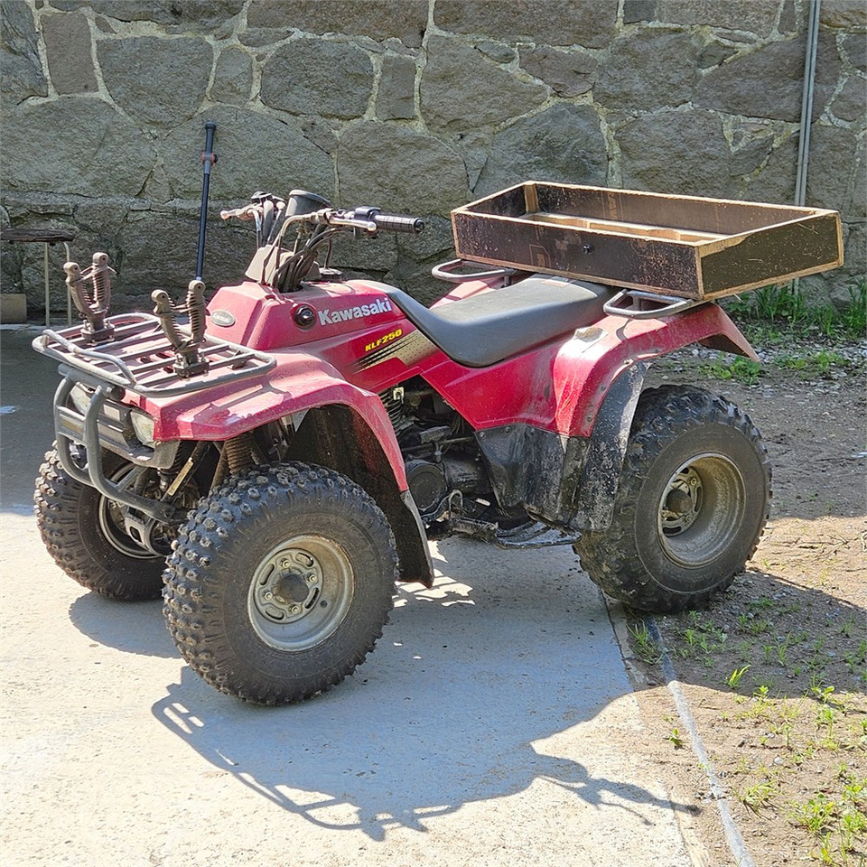 Kawasaki KLF 250 - Quad: afbeelding 1 Kawasaki KLF 250 - Quad: afbeelding 1