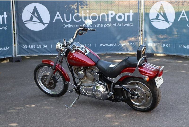 Harley-Davidson Softail Standard - Motorfiets: afbeelding 3 Harley-Davidson Softail Standard - Motorfiets: afbeelding 3