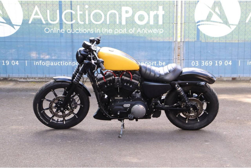 Harley-Davidson Sporster XL 883 Iron - Motorfiets: afbeelding 2 Harley-Davidson Sporster XL 883 Iron - Motorfiets: afbeelding 2