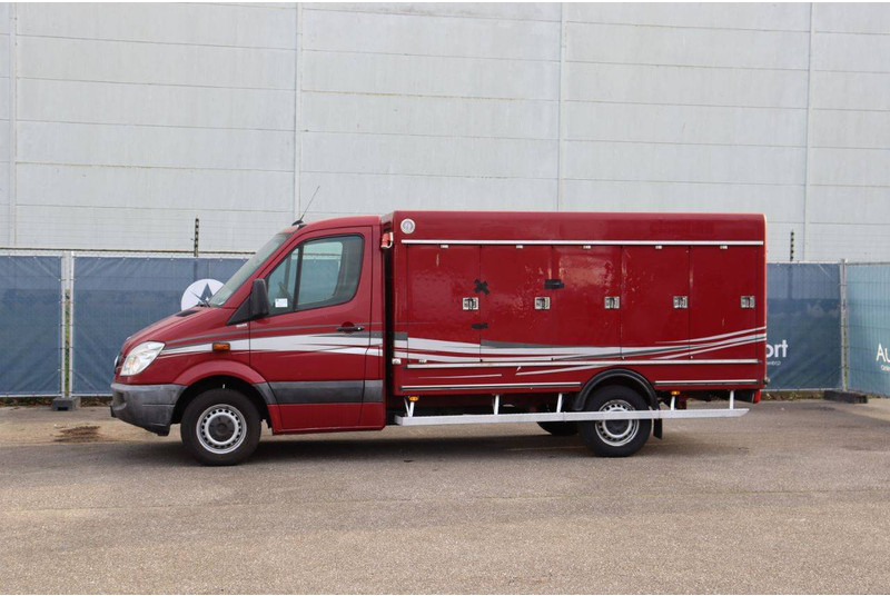 Mercedes-Benz 313CDI - Bestelwagen gesloten laadbak: afbeelding 1 Mercedes-Benz 313CDI - Bestelwagen gesloten laadbak: afbeelding 1