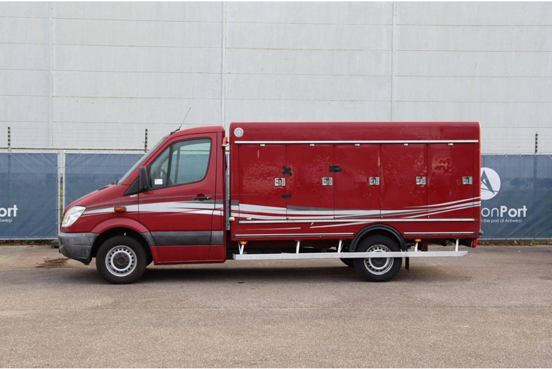 Mercedes-Benz 313CDI - Bestelwagen gesloten laadbak: afbeelding 2 Mercedes-Benz 313CDI - Bestelwagen gesloten laadbak: afbeelding 2