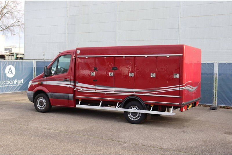 Mercedes-Benz 313CDI - Bestelwagen gesloten laadbak: afbeelding 4 Mercedes-Benz 313CDI - Bestelwagen gesloten laadbak: afbeelding 4