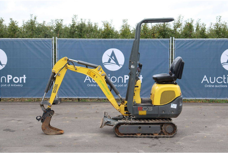 Neuson 803 - Minigraafmachine: afbeelding 1 Neuson 803 - Minigraafmachine: afbeelding 1