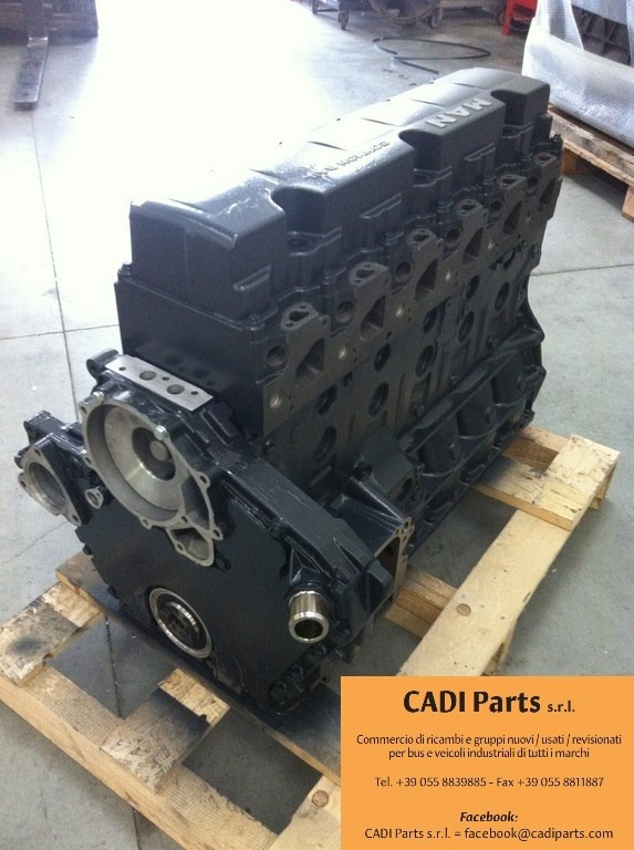 MOTORE MAN D0836LFL40 - Motor: afbeelding 3 MOTORE MAN D0836LFL40 - Motor: afbeelding 3