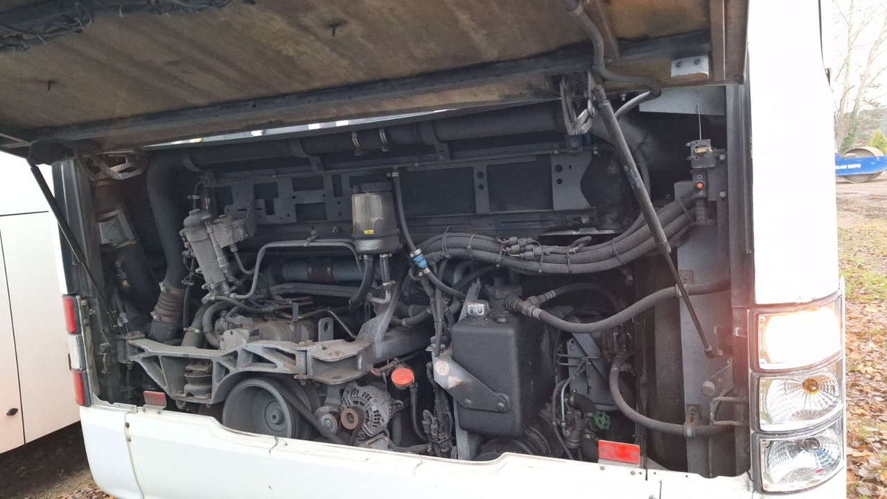 MAN A21 A20/Citaro - Stadsbus: afbeelding 5 MAN A21 A20/Citaro - Stadsbus: afbeelding 5